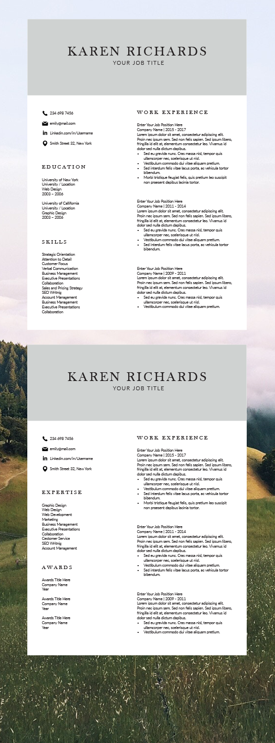 Modern Resume Format InDesign Resume Template in 2020