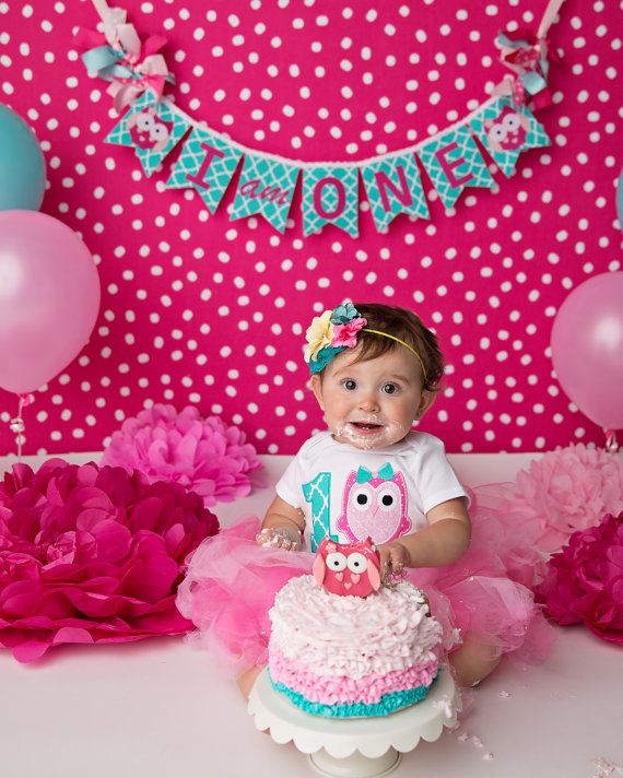 owl birthday banner 1st birthday girl birthday banner cake