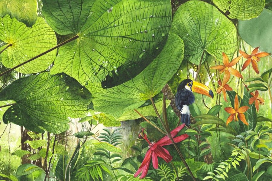 Tapete Jungle b703d7f6636ae02e6b9ac1dadf6aead8 - Tapete Jungle