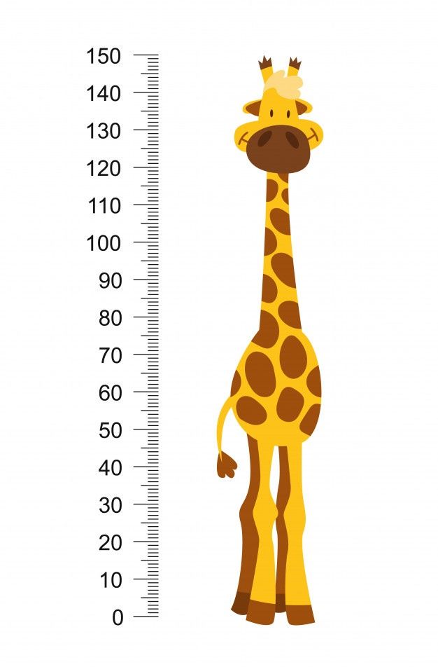 Alegre girafa engraçada com pescoço comp... | Premium Vector #Freepik #vector #carater #desenho-animado #animal #parede School Wall Art, School Frame, Pregnancy Scrapbook, Kids Room Murals, Image Clipart, Funny Giraffe, First Fathers Day Gifts, Paper Crafts For Kids, School Decorations