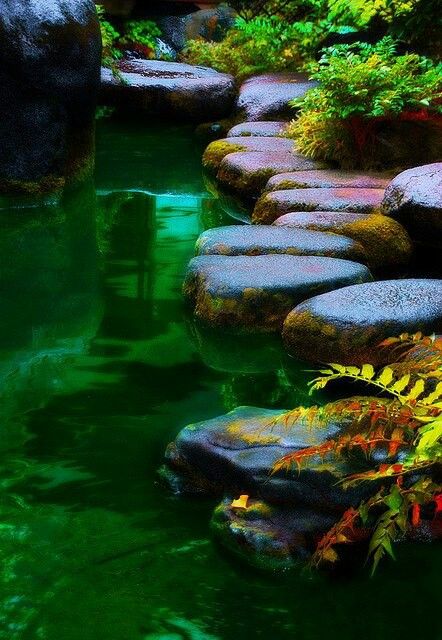 Tokyo Japan 日本庭園 禅庭 風景 Tokyo Japan 日本庭園 禅庭 風景