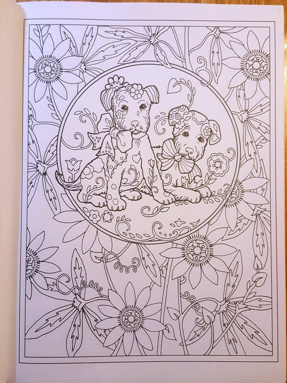 Amazon.com: Creative Haven Dazzling Dogs Coloring Book (Adult Coloring) (0800759803828): Marjorie Sarnat: Books
