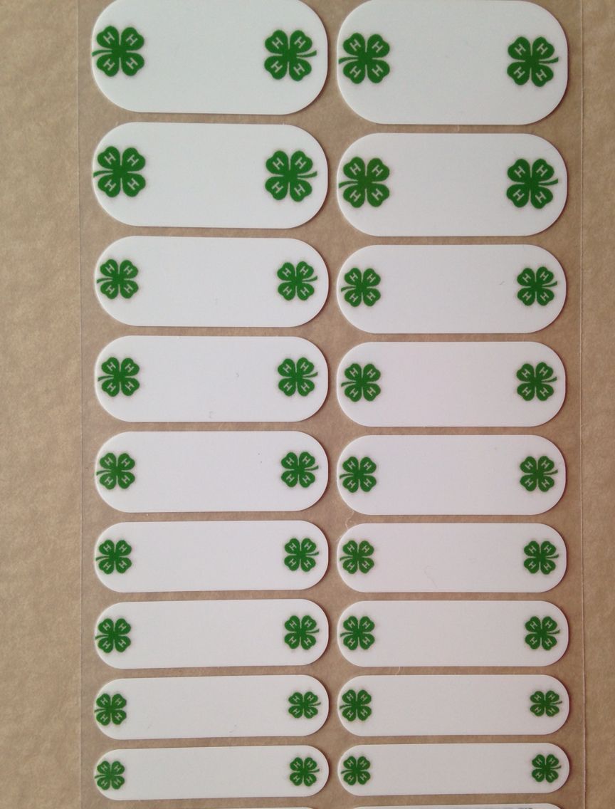 jamberry 4 h logo vector project tamihoiseth jamberry com www