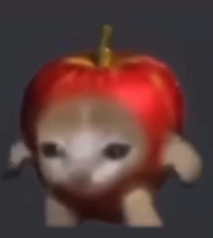 Apple Cat Cute Meme Funny Song Reddit Funny Cat Running Cute Cool Nice Apple Cat Cute Meme Funny Song Reddit Funny Cat Running Cute Cool Nice