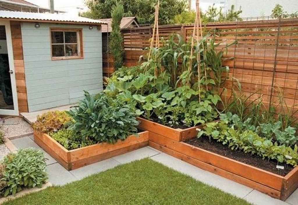 80 Affordable Backyard Vegetable Garden Design Ideas Some