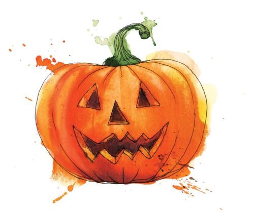 Ookie Spooky Pumpkin Drawing Pumpkin Illustration Watercolor Flowers
