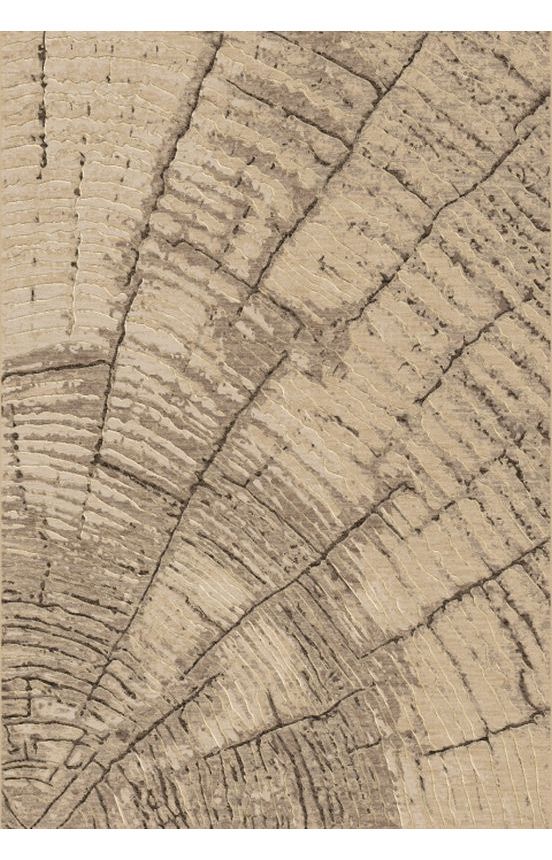 Dynamic Rugs Eclipse Area Rug In 2020 Dynamic Rugs Area Rugs Rugs