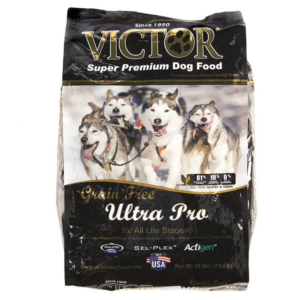 Victor Grain Free Dog Food Ramen Recipes Chicken