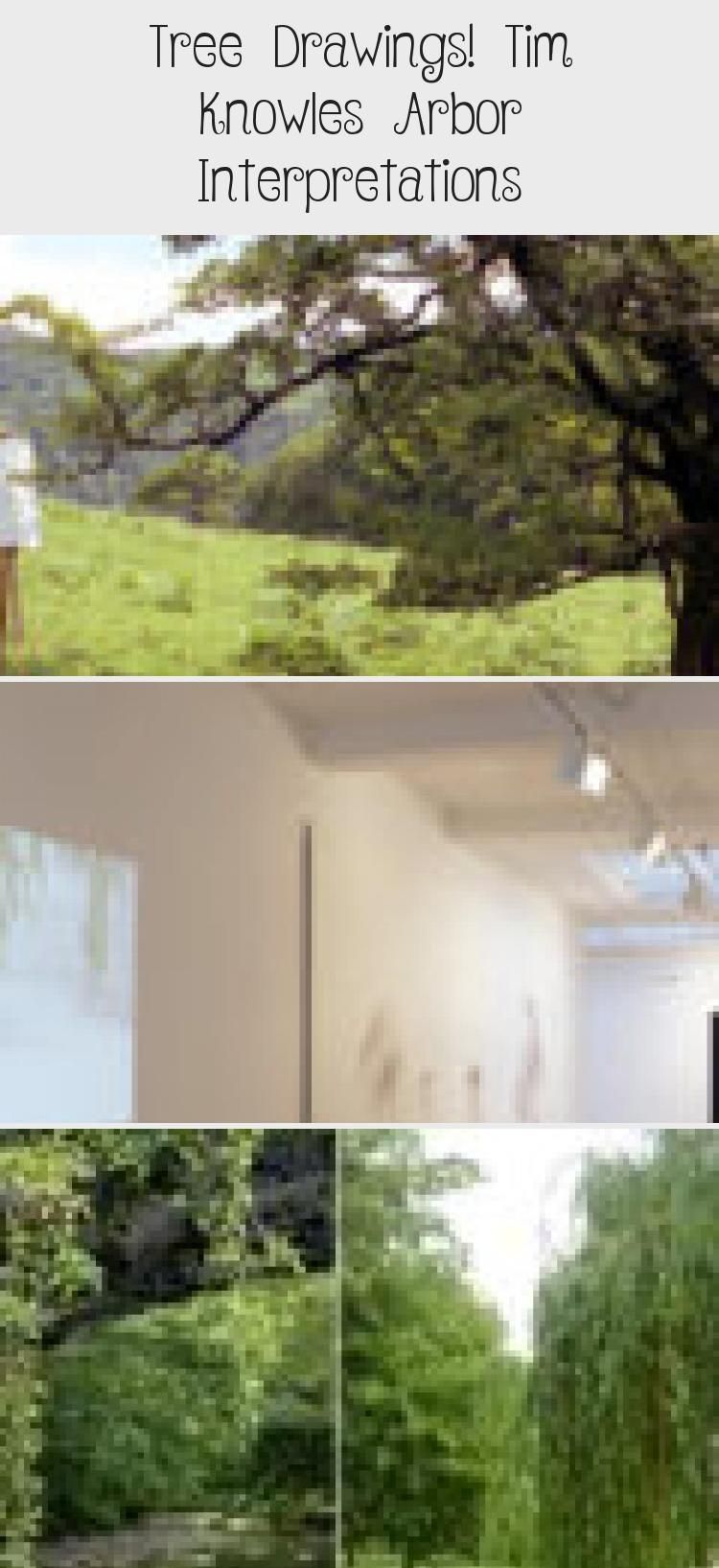 Tree Drawings! Tim Knowles Arbor Interpretations - ART