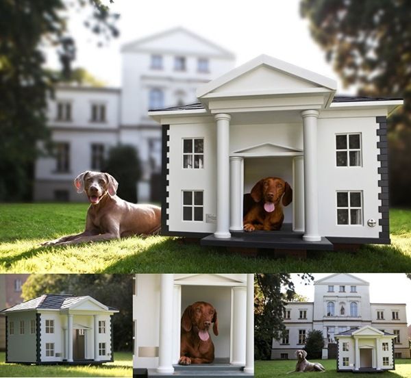 Dog Houses Dog Mansion Luxury Dog House Cool Dog Houses