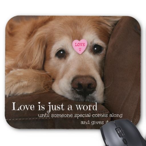 Golden Retriever Love Is Just A Word Mouse Pad Zazzle Com Golden Retriever Fun Mouse Pad Custom Mouse Pads