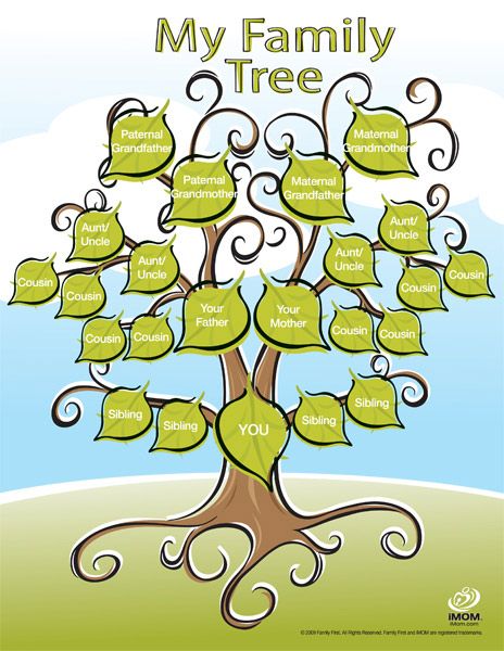 make a family tree free