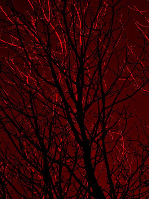 Red Red Sky Red Aesthetic Red Wallpaper
