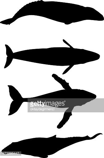 whale silhouette stuffed animals pinterest whale silhouette