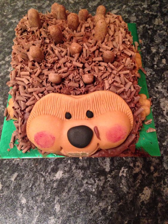 Hedgehog Birthday Cake Sainsbury Hedgehog Birthday Cake Sainsbury
