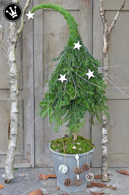 Hauseingang Weihnachtsdeko 2020 Aussen Hauseingang Weihnachtsdeko 2020 Aussen