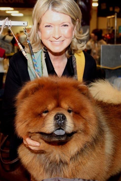 Martha Stewart S Dog Won Best In Breed At Westminster Today