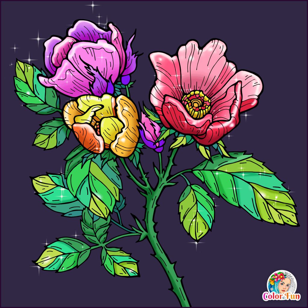 Pin by Heather Bobo on Color app Coloring apps, Glass