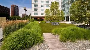 rooftop gardens - Google Search