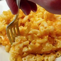 Southern Macaroni and Cheese (The BEST Recipe!) - Southern Macaroni and Cheese (The BEST Recipe!) -