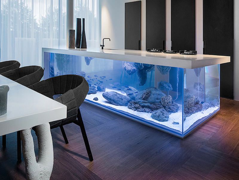 Ilha de cozinha equipada com um aquário Deco Design, Design Case, Interior And Exterior, House Interior, Kitchen Interior, Ideas Para Organizar, Cuisines Design, House Goals, My Dream Home