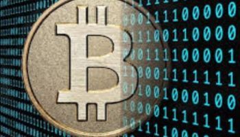 Best website to invest in cryptocurrency india