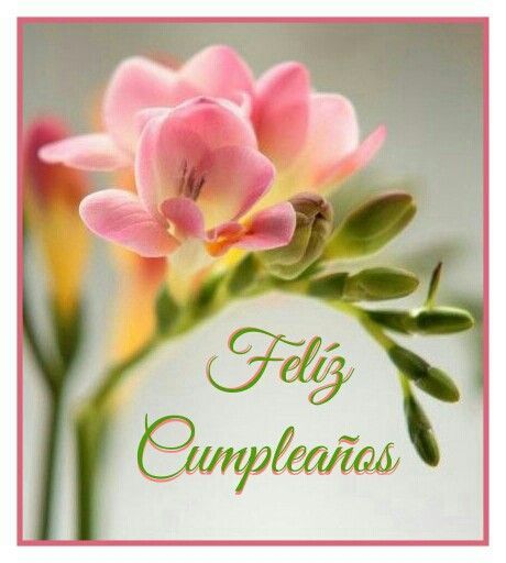 las 25 mejores ideas sobre tarjetas de feliz aniversario frases feliz cumplea 241 os las 25 mejores ideas sobre tarjetas de feliz aniversario frases feliz cumplea 241 os