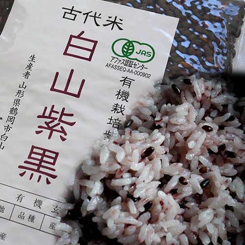 黒米の炊き方 水加減 割合 食べ方 黒米 美味しい 寝かせ玄米 黒米の炊き方 水加減 割合 食べ方 黒米 美味しい 寝かせ玄米