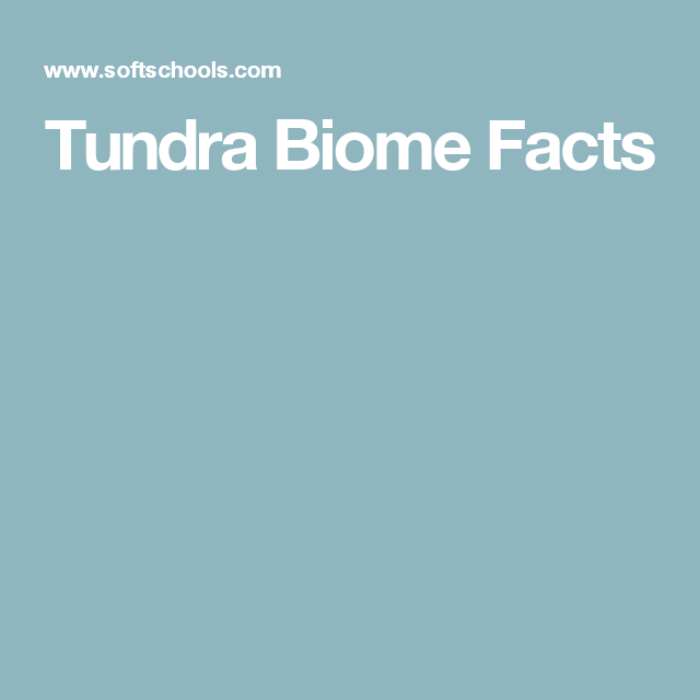 facts about the tundra