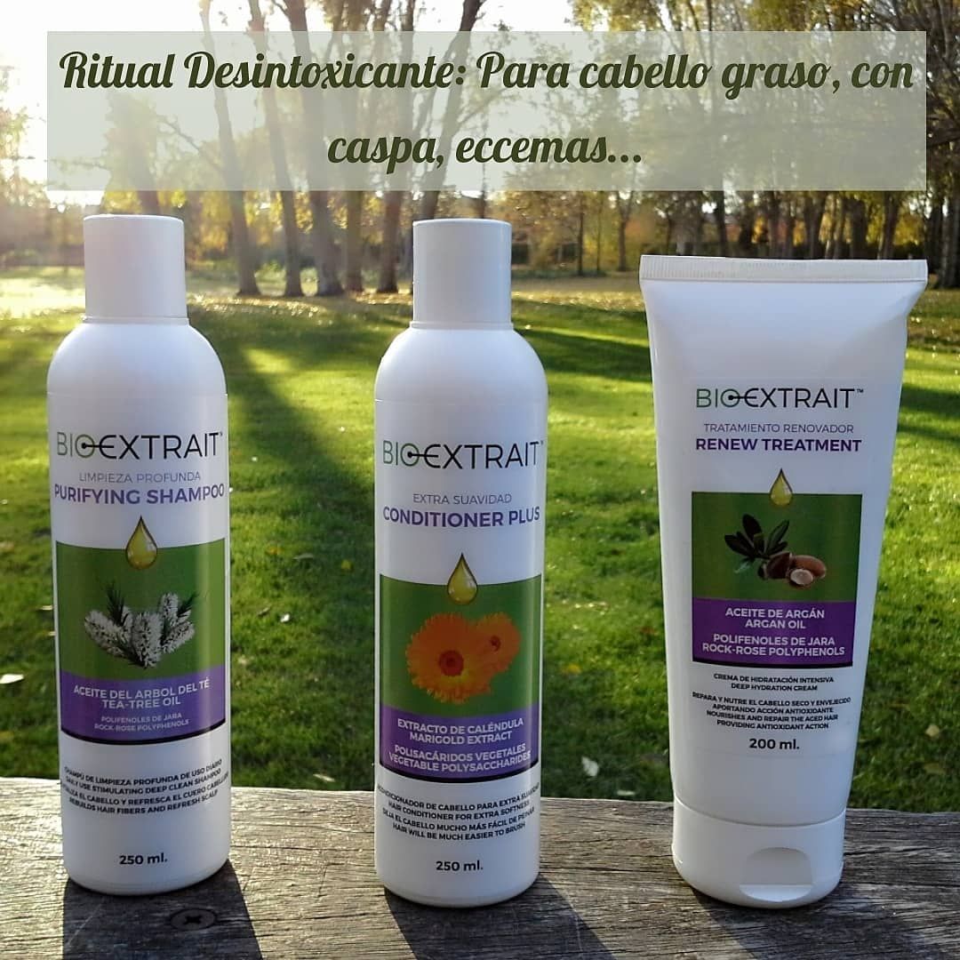 Ritual Desintoxicante Para Cabello Graso Con Caspa Eccemas Higiene Champú Purificante Con Aceite De Arbol Del Té A Shampoo Shampoo Bottle Personal Care