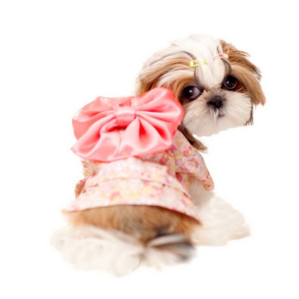 Ranphy Small Dog Clothes For Female Dog Kimono Costume Floral