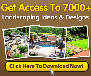 las vegas landscaping ideas tropical meet the best landscaping las vegas artificial grass manufacturers landscapers and landscape services by green guru how to create self watering planters beprepared pinterest las vegas landscaping ideas tropical meet the best landscaping las vegas artificial grass manufacturers landscapers and landscape services by green guru how to create self watering planters beprepared pinterest