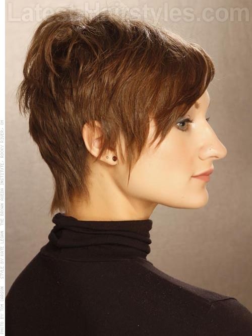 The Played Up Pixie Wispy Style Side View For Ointments At Short Hairstyle The Played Up Pixie Wispy Style Side View For Ointments At Company Salon