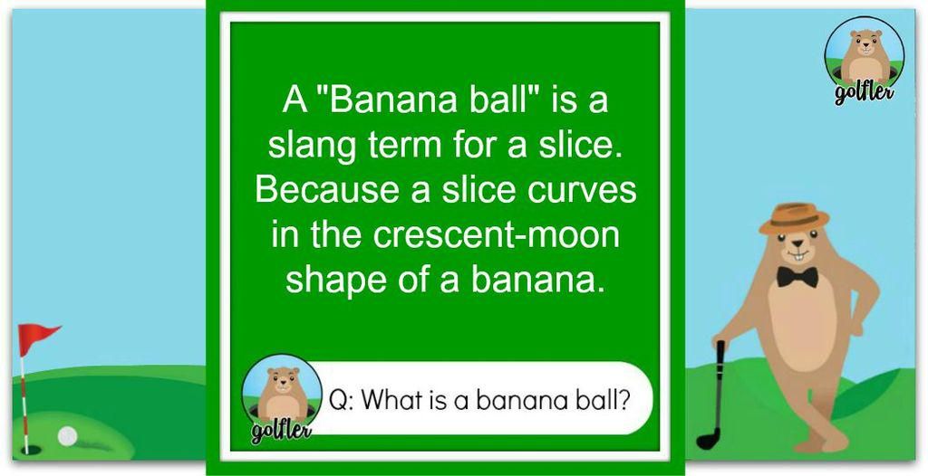 Are You Fluent In Golf Vocab Triviafun Factsgolfaddictionfunny Facts Are You Fluent In Golf Vocab Triviafun Factsgolfaddictionfunny Facts