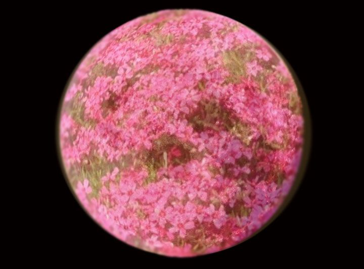 Full Moon For April 2019 In Bohemian Rhapsody Pinterest Full Moon For April 2017 The Pink When Is Next Phases Best Dayore From Old Farmers Almanac
