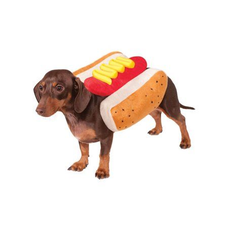 Pets In 2020 Pet Costumes Dog Halloween Costumes Dog Halloween