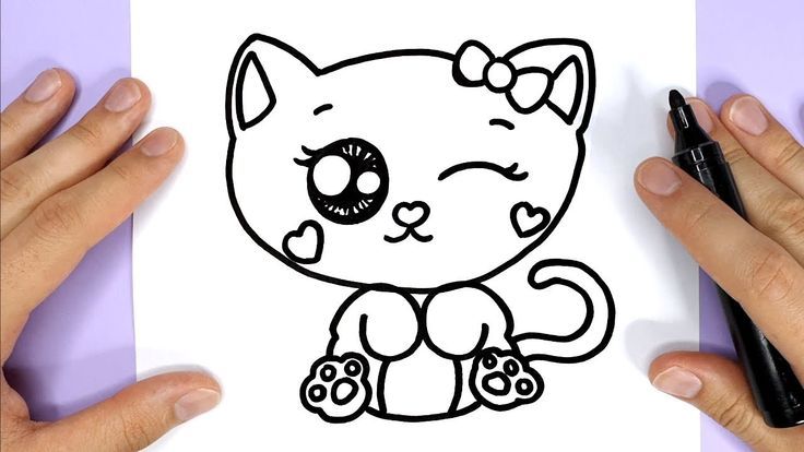 Baby Katze Zeichnen Baby Katze Zeichnen