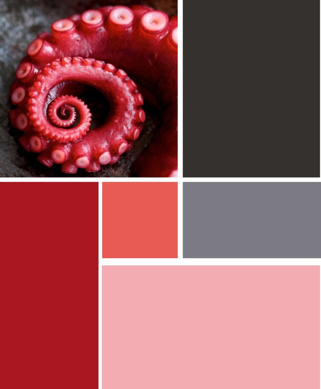 Pin by Daytime Dreams on paint palettes Color palate, Color