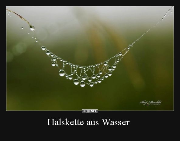 Halskette Aus Wasser Lustige Bilder Sprüche Witze Echt Lustig