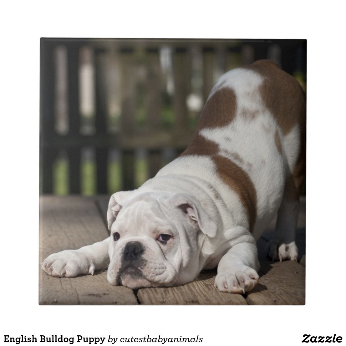 English Bulldog Puppy Tile Zazzle Com Bulldog Puppies Baby