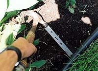 Don't install plastic landscape edging improperly. | Renegade Gardener Privacy Landscaping, Landscaping Supplies, Home Landscaping, Front Yard Landscaping, Garden Walkway, Rain Garden, Plastic Landscape Edging, Flower Bed Edging, Brick Edging