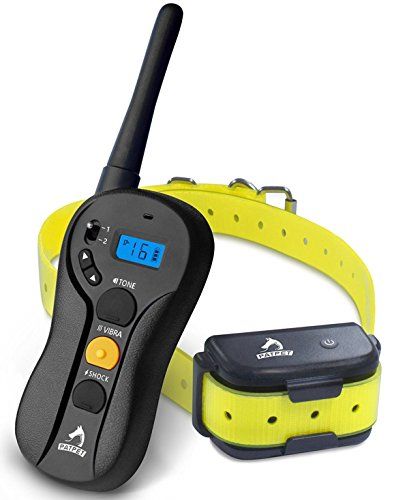 patpet dog shock collar with remote