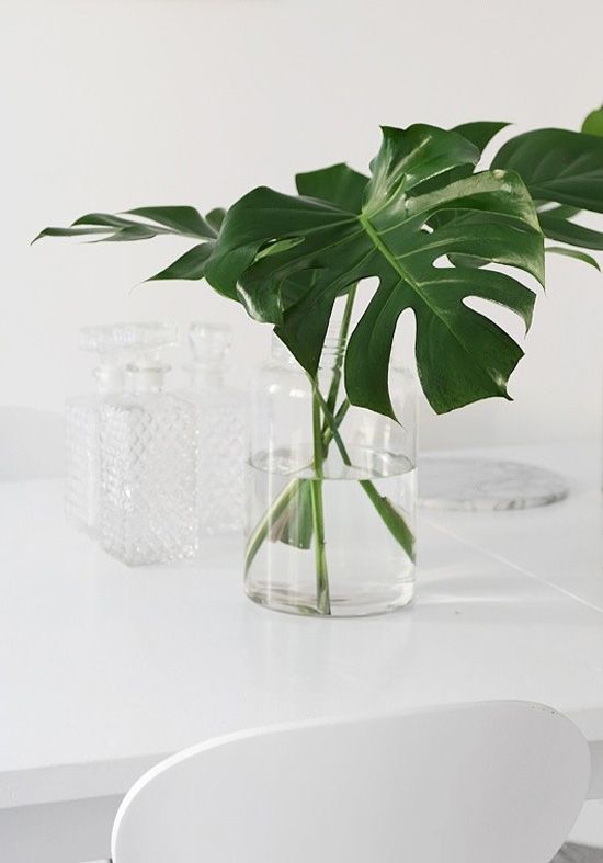 Decorar con Monsteras: La Planta de Nuestras Abuelas que es Tendencia - Nordic Treats Ikebana, Monstera Deliciosa, Monstera Leaves, Philodendron Monstera, Deco Floral, Arte Floral, Floral Art, Plantas Indoor, Marimo Moss Ball