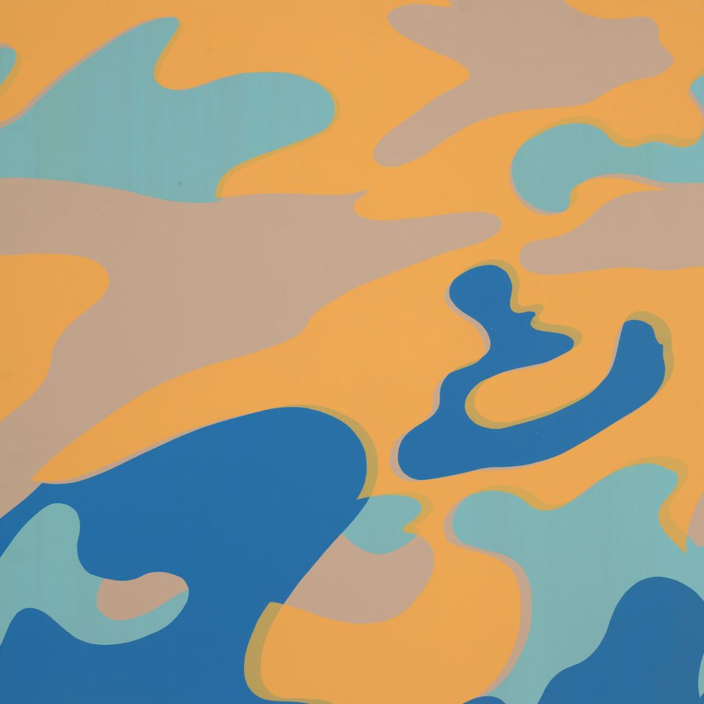 Camouflage Andy Warhol Contemporary Printmaking Camo Wallpaper Live Colorfully Camouflage Andy Warhol Contemporary Printmaking Camo Wallpaper Live Colorfully