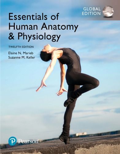 essential anatomy labs pearson essential anatomy labs pearson