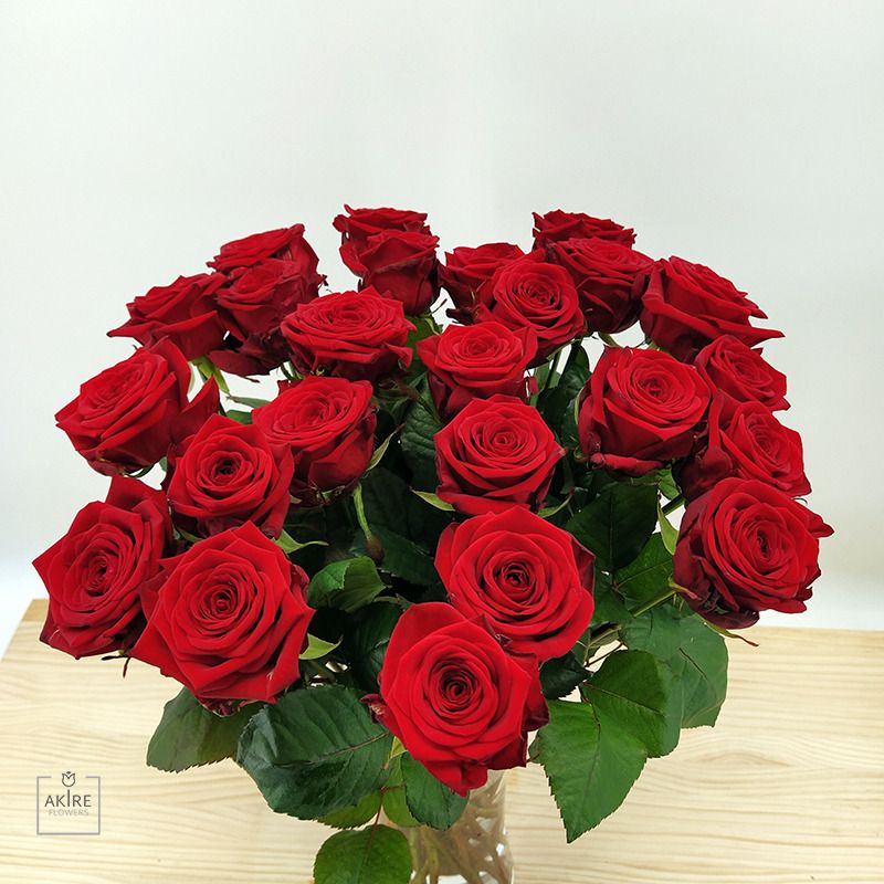 Solo Rosas 24 Rosas Rojas Red Naomi Rednaomi Rosaroja Valentin 24rosasrojas Rosas Rojas Rosa Roja Rosas