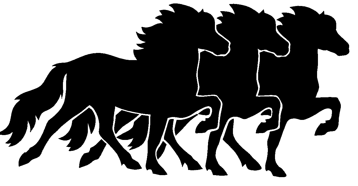 Isländer Isi Pony Trailer Aufkleber Aufkleber Islandpferde Pferd Tölter