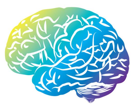 Resultado de imagen para cerebro vector