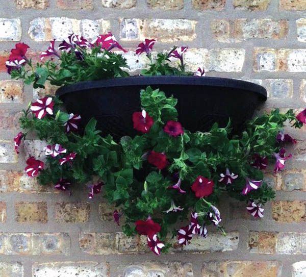 Plastic wall planter for hanging plants | Fence planters, Planters, Plants
