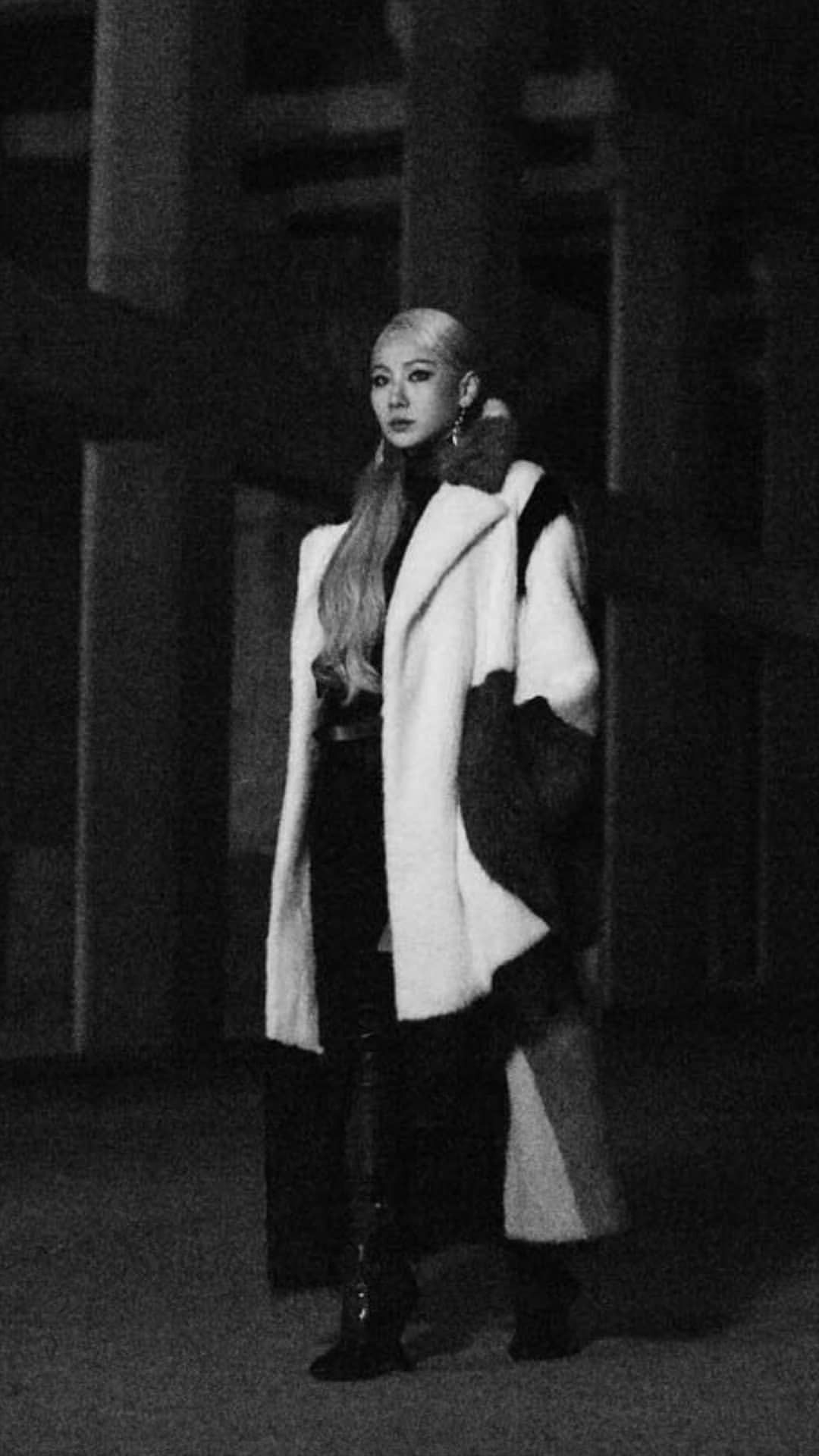 pin de amber h em 2ne1 em 2020 chaelin lee modelos pin de amber h em 2ne1 em 2020 chaelin lee modelos